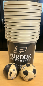 Yard Pong Buckets with Purdue-themed balls