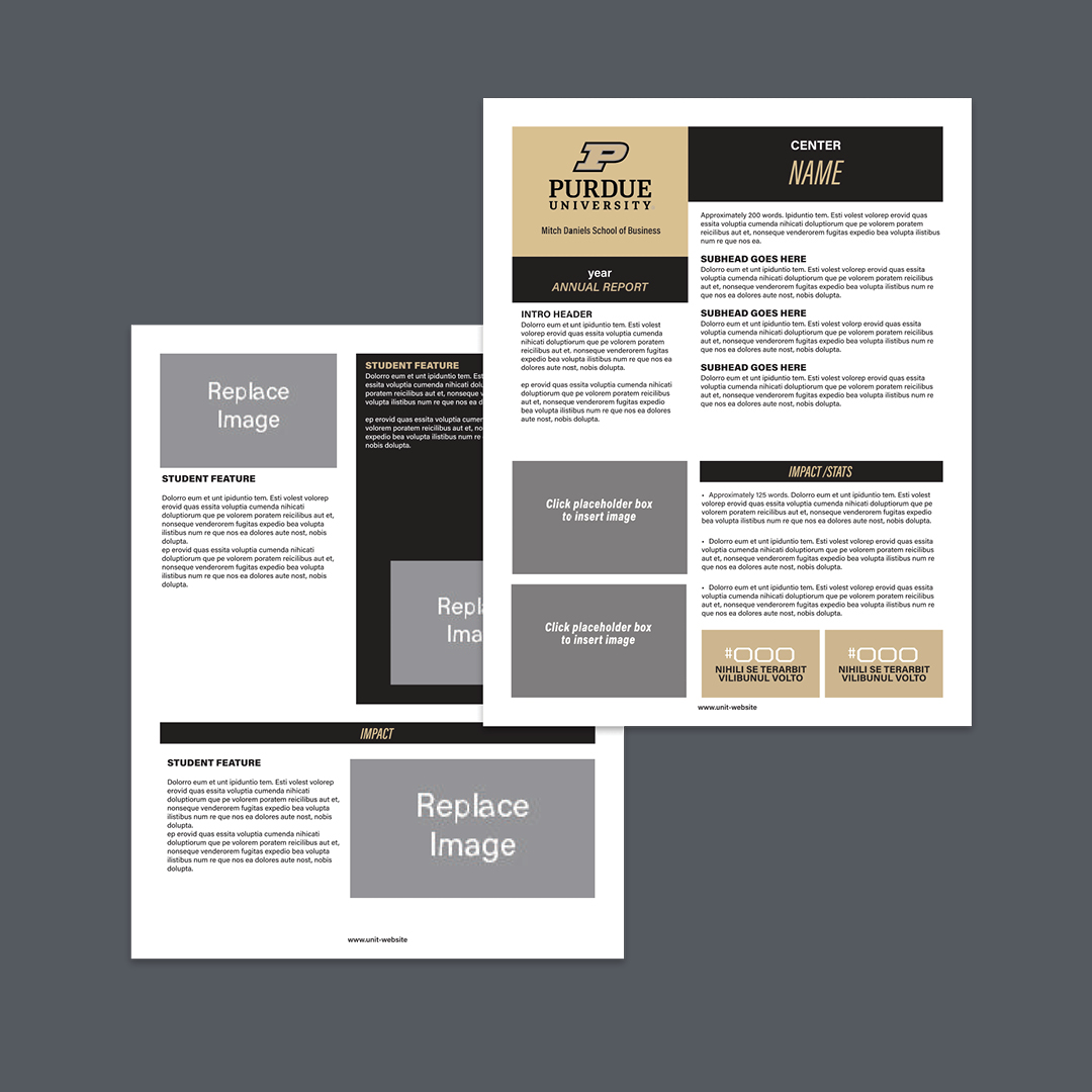 Sample of annual reports